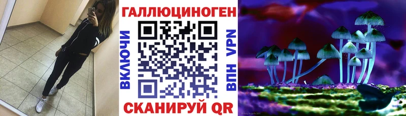 закладки  Волосово  Галлюциногенные грибы Cubensis 